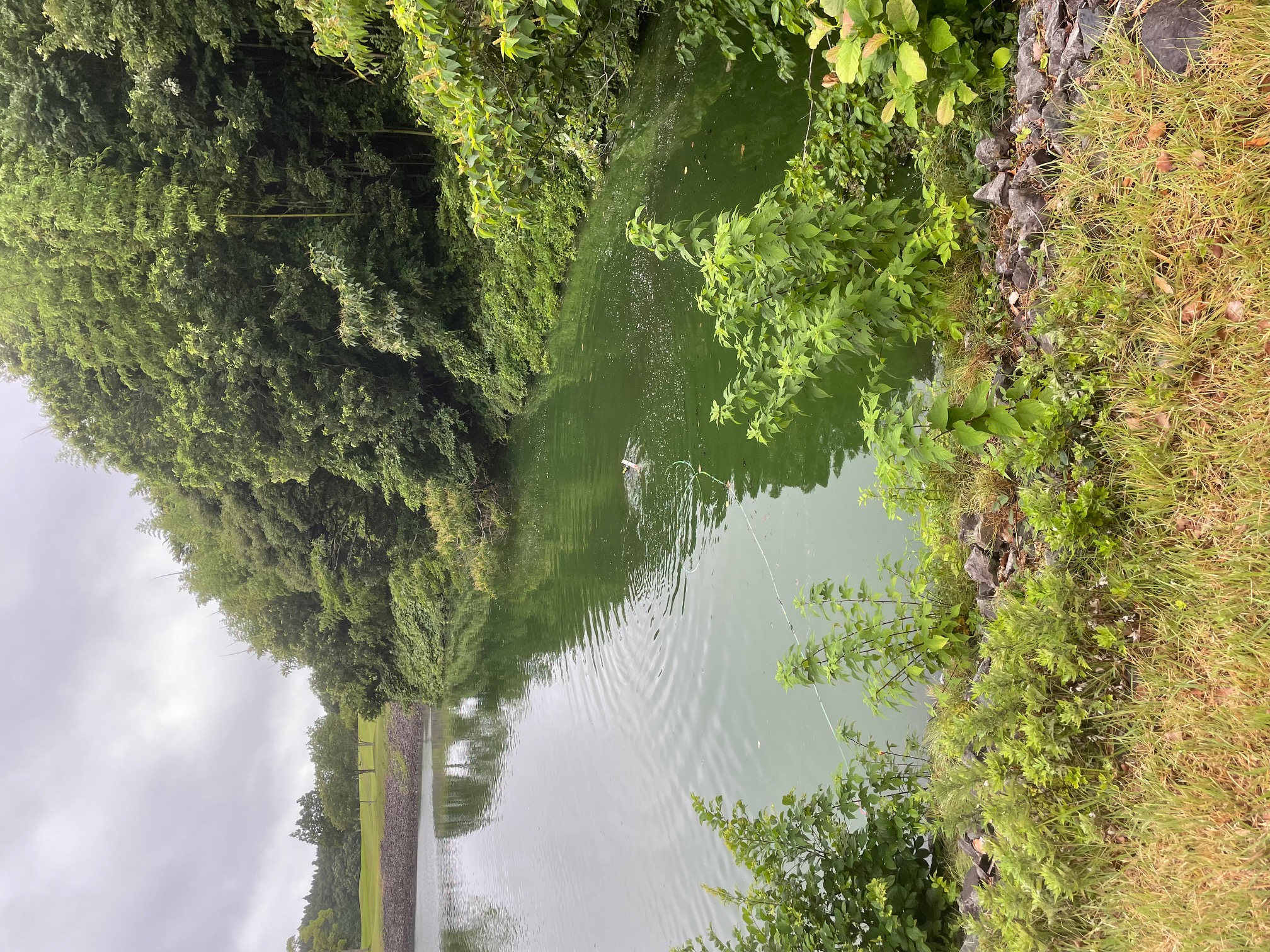 ロストボール リサイクル