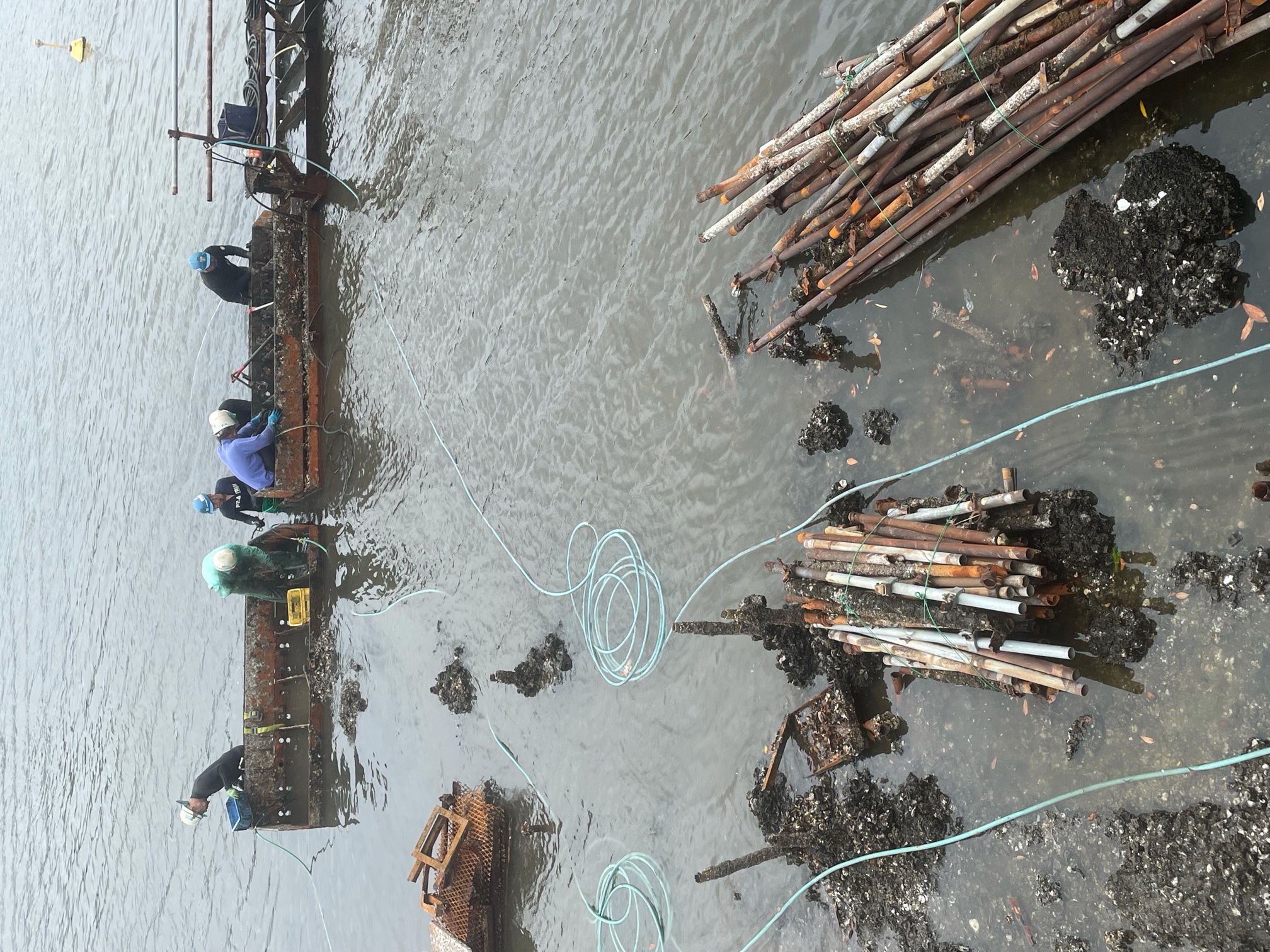 桟橋構造物撤去